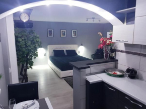 Savić Apartment CENTER - PARKING FREE